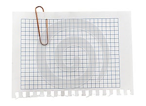 A sheet of paper in a cage for notes with a paper clip on a white background. Entries. Notes. Reminder
