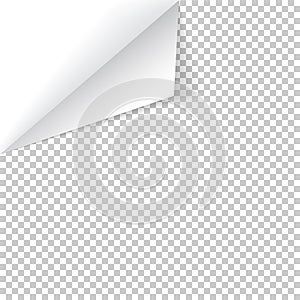 Sheet of paper with curled corner and soft shadow, template for your design. Vector illustration