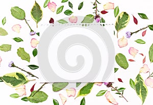 Sheet of paper for text in a frame of flowers, petals and green