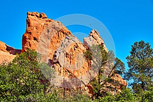 Sheet of red rock pillar mountains with green trees