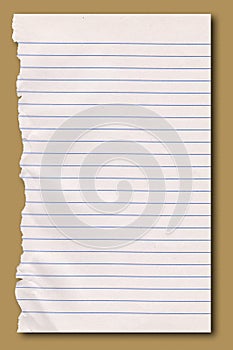 Sheet of ripped notepaper.