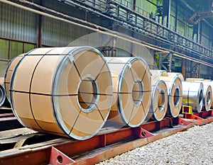 Sheet rolls in warehouse