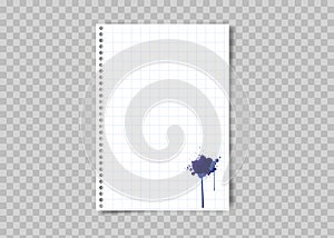 Sheet of squared paper with blue ink stain. Realistic blank lined paper sheet with shadow in A4 format of Notebook or book page