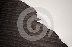 a sheet of torn paper on