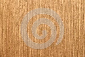 Sheet of veneer as a natural wood background or texture