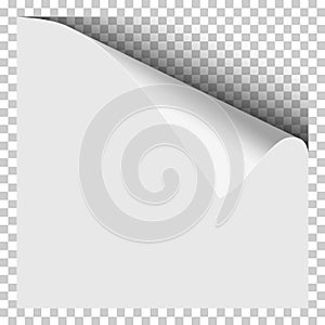 Sheet of white paper with curled corner, soft shadow and transparent next page. Element with space for text, ad and other aims. Te