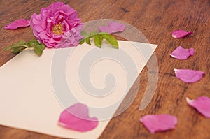 Sheet of white paper with rosehip flower and its petals on a wooden table