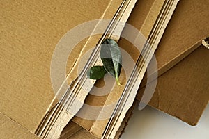 Sheets of brown corrugated cardboard and green leaves. Stacked carton sheets and plant.