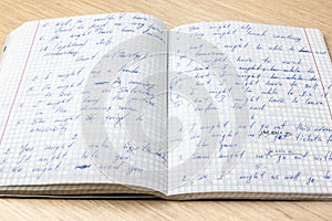 Sheets of school student notebook scribbled with a blue ballpoint pen.