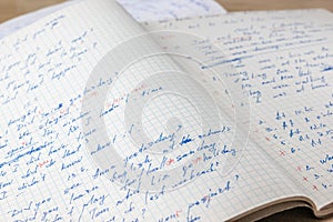 Sheets of school student notebook scribbled with a blue ballpoint pen.