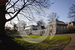 Sheffield Botanical Gardens Glasshouses photo