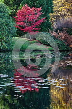 Sheffield Park Gardens