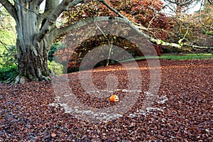 Sheffield Park Gardens