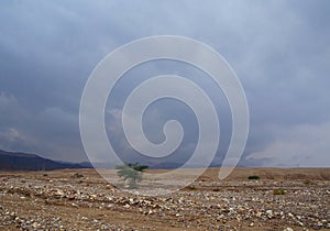 Shehoret mountains South Israel