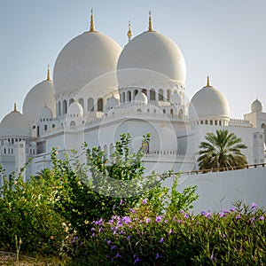 sheikh zayed grand mosque in abu dhabi, UAE