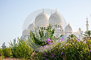 sheikh zayed grand mosque in abu dhabi, UAE