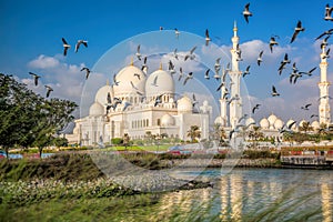 Sheikh Zayed Grand Mosque with birds, Abu-Dhabi, United Arab Emirates