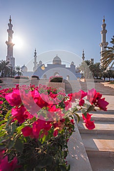 Sheikh Zayed Grand Mosque with flowers in Abu-Dhabi, United Arab Emirates