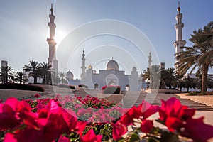 Sheikh Zayed Grand Mosque with flowers in Abu-Dhabi, United Arab Emirates