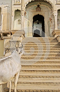 Shekhawati temple