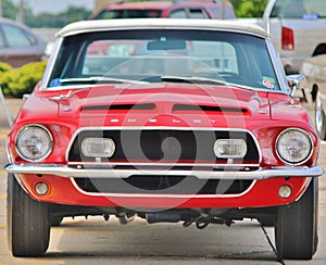 Shelby GT500 Mustang