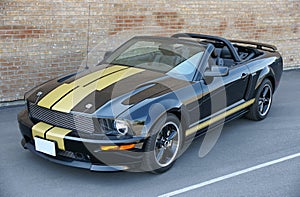 Shelby mustang
