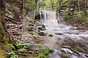 Sheldon Reynolds Falls, Ricketts Glen State Park photo