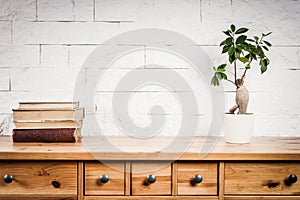 Shelf with books and flower and white wall