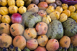 Shelf with fruits on a farm market in Arequipa, Peru