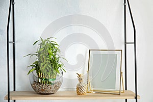 Shelf with green lucky bamboo in glass bowl and decor