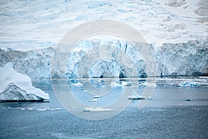 Shelf ice in Antarctica. Glacier wall with caves and small icebergs, Paradise Bay, Antarctica