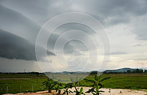 Shelf Nimbostratus clouds are dark, grey, featureless layers of cloud, produce persistent rain.