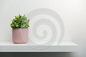 Shelf on white wall with green plant in pink pot. copy space