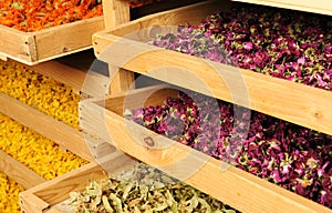 Shelfs with dried flowers