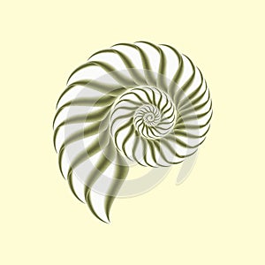 Shell