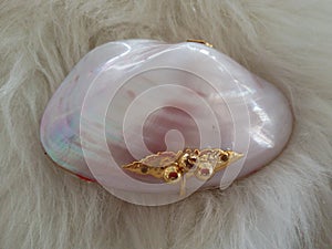 Shell accessories box