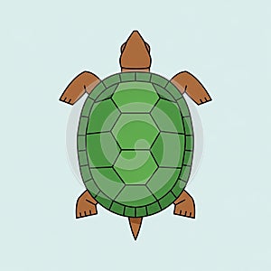 Shell. The background is a light blue, providing contrast to