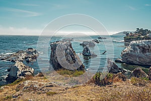 Shell Beach Area of Pismo Beach, California