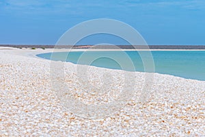 Shell beach at Francois Peron national park in Australia