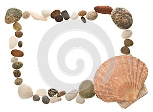 Shell and beach pebble border