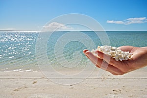 Shell Beach - Shark Bay region