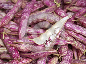 Shell Beans in a Bin on Display in a Farmers Market