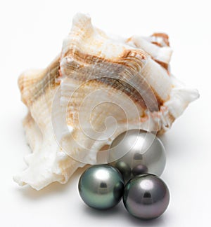 Shell with black pearls