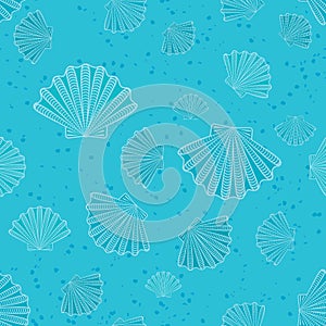 Shell on blue background