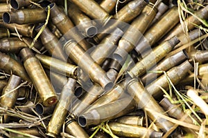 Shell casings