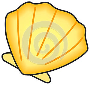 Shell of clam.