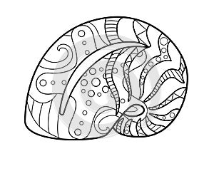 Shell - coloring antistress - vector linear picture for coloring. Outline. Hand drawing. A mollusk in a shell a river or aquarium