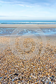 Shell covered sndy beach on a sunny day