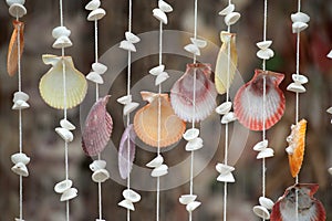 Shell curtain .