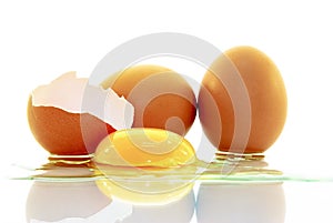 The shell of an egg,the egg,egg yolk,isolated on white background